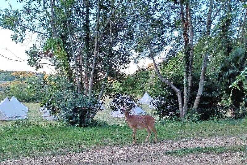 Ça Me Tente | Location de tentes, mobiliers et sanitaires pour événements privés et professionnels en Occitanie et Provence — location sanitaires événementiels